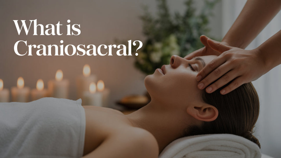 Craniosacral Therapy: Exploring the Subtle Art of Healing Touch - Niel Asher Education