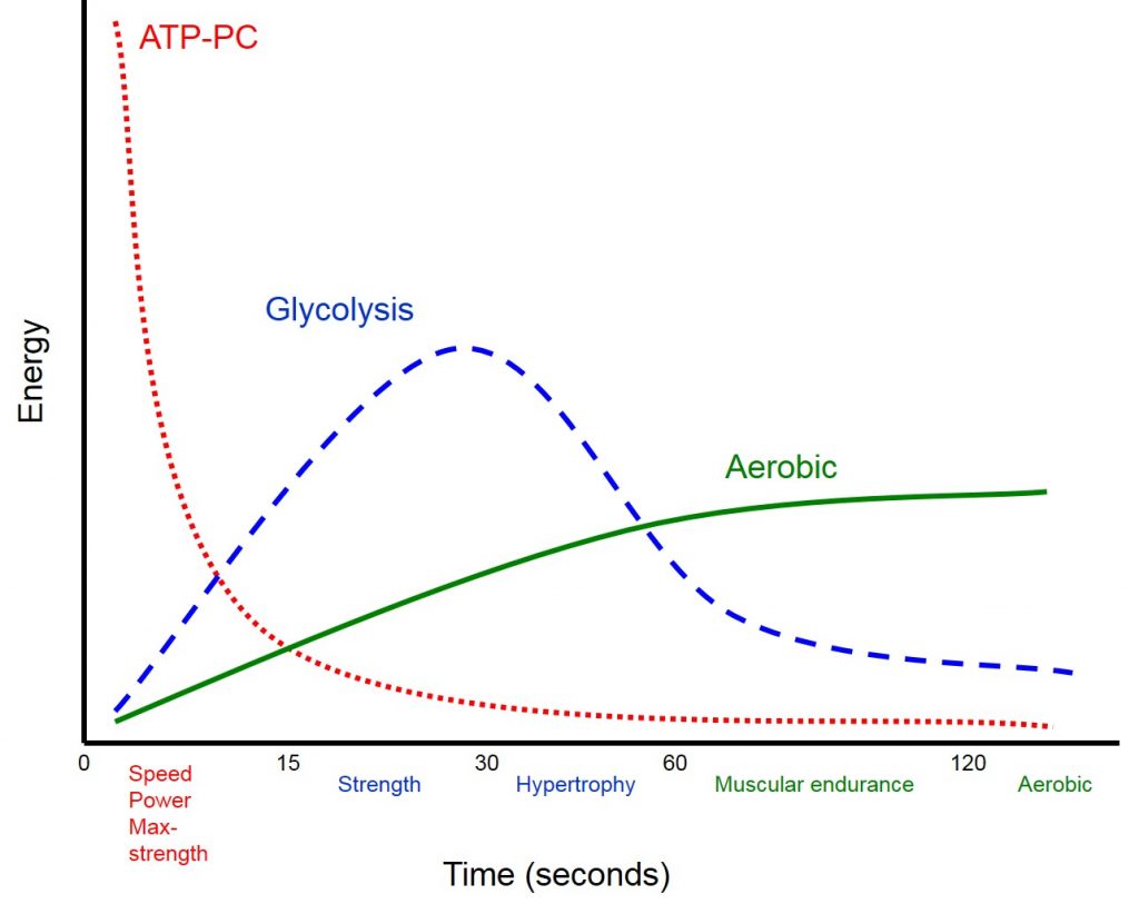 Time Under Tension: A Key Ingredient for Effective Weight Training - Niel Asher Education