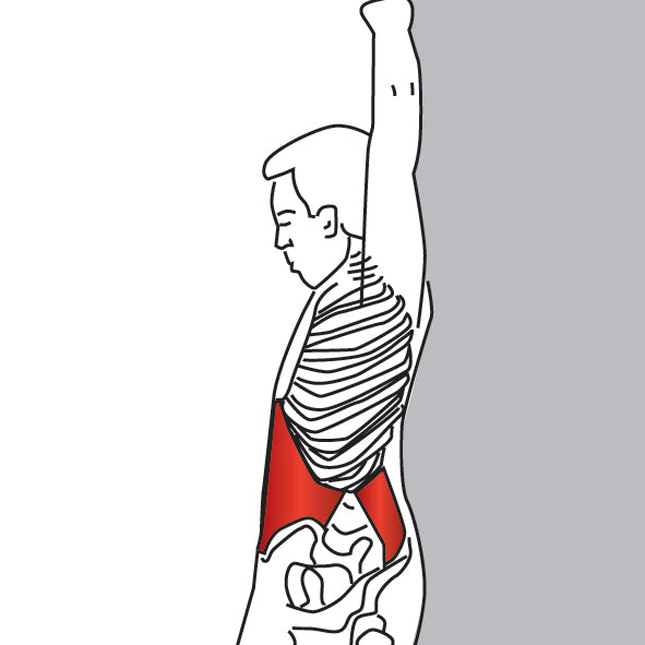 Standing Reach-Up Back Rotation Stretch | Back, Stretch, Stretching and ...