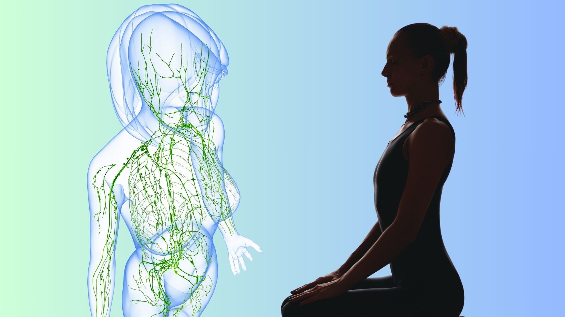 Hatha Yoga for Regulating the Autonomic Nervous System and Lymphatic System