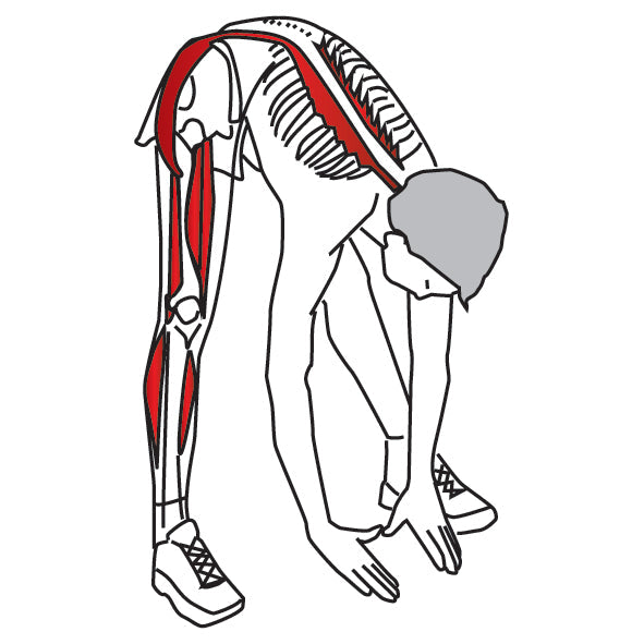 Standing Reach Down Hamstring Stretch - Niel Asher Education
