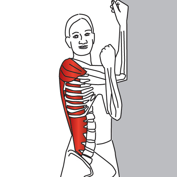 Bent Arm Shoulder Stretch | Deltoid, Infraspinatus, Latissimus Dorsi ...