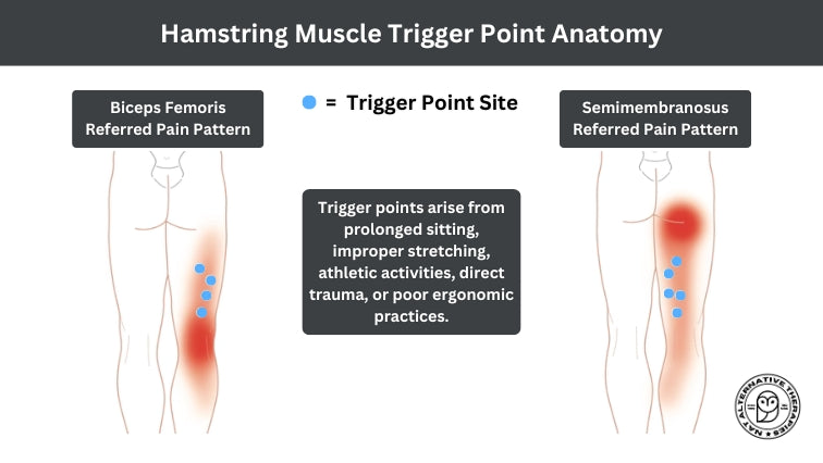Healthy "Hammies" - Trigger Point Therapy - Niel Asher Education