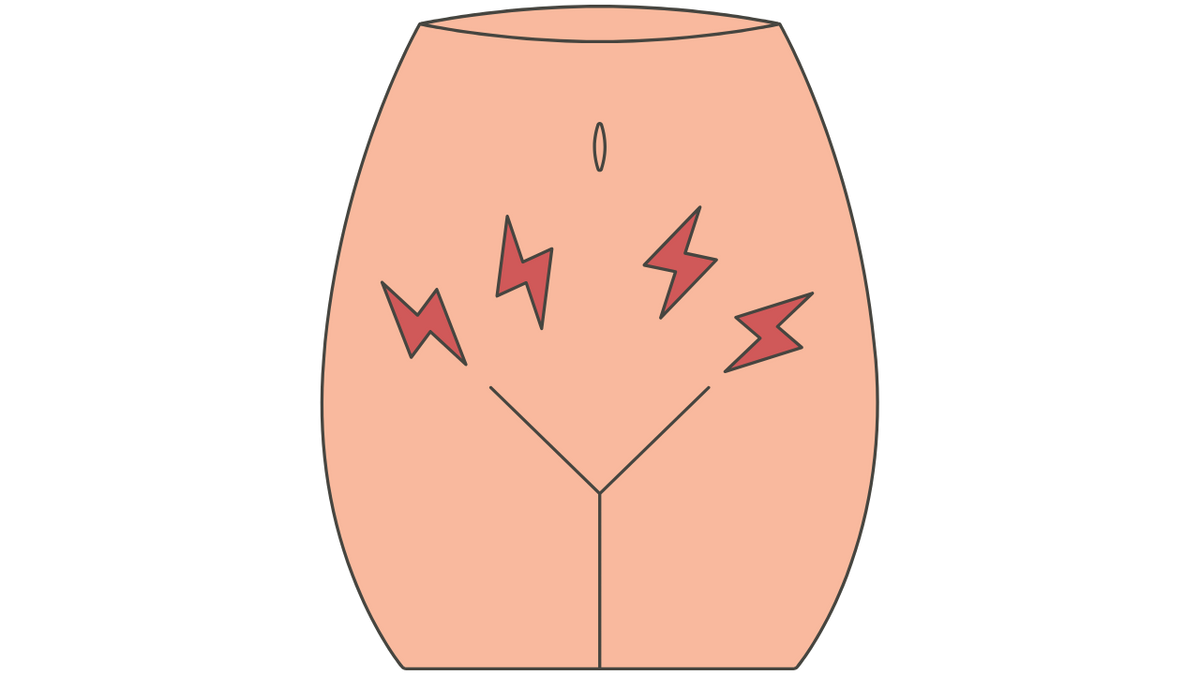 The Link Between Core Strength and Pelvic Floor Health: A Deep Dive for Women - Niel Asher Education