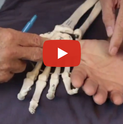 Trigger Point Therapy - Treating O/A Thumb - Niel Asher Education