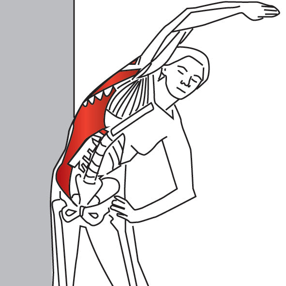Reaching Lateral Side Stretch - Niel Asher Education