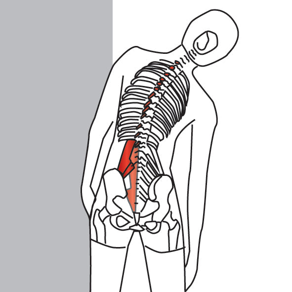 Standing Lateral Side Stretch - Niel Asher Education