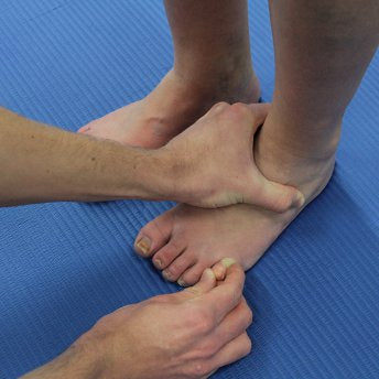 Trigger Point Therapy | Tibialis Anterior | Anatomy - Niel Asher Education