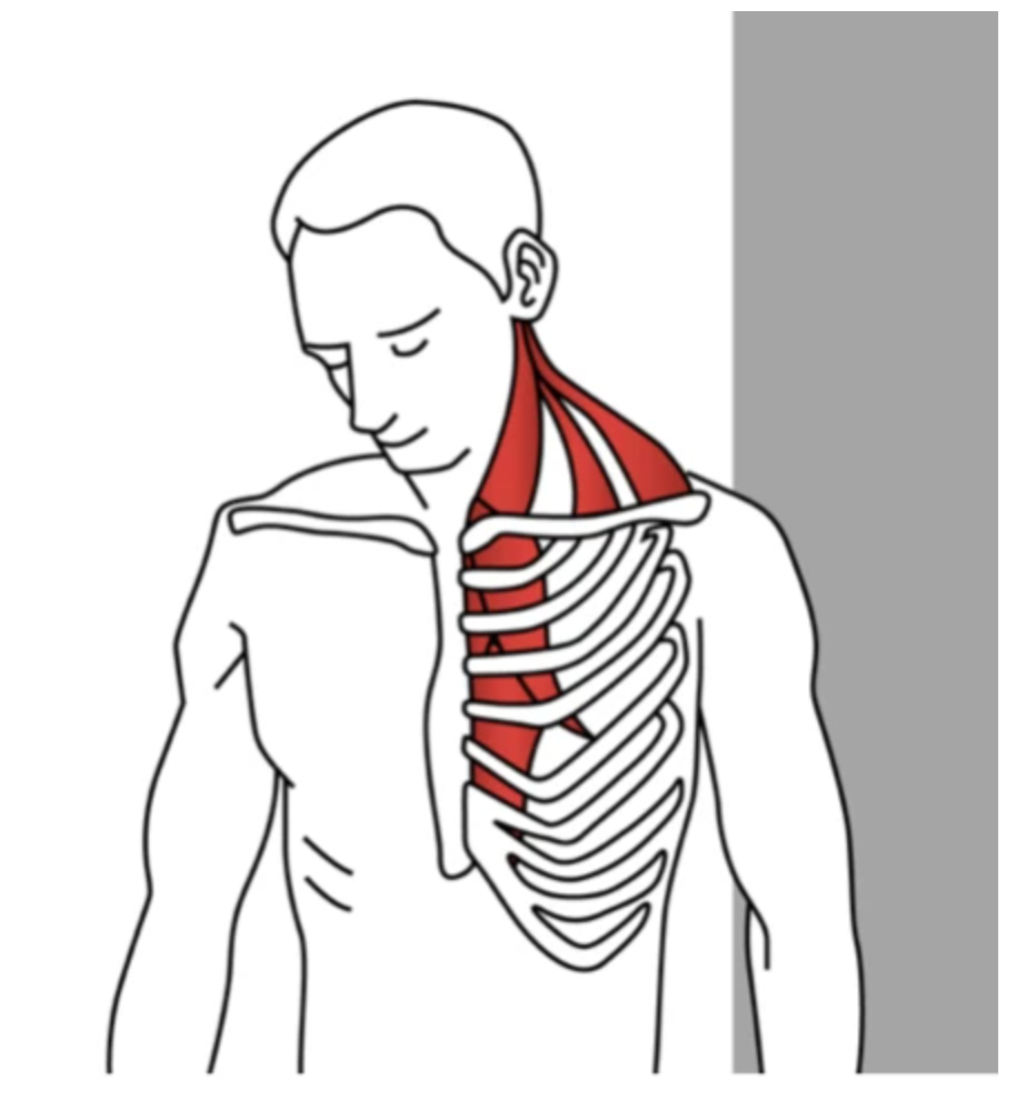 Diagonal Flexion Neck Stretch - Niel Asher Education