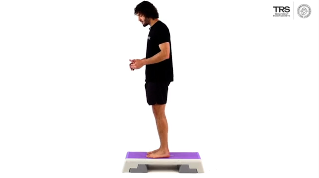 Standing Calf Raise
