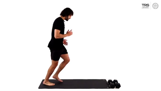 The Lunge