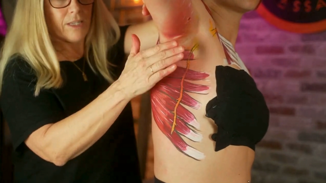 Serratus Anterior Anatomy