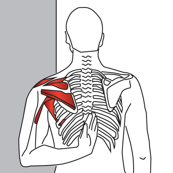 Reaching-Up Shoulder Stretch | Infraspinatus, Shoulder, Shoulder ...