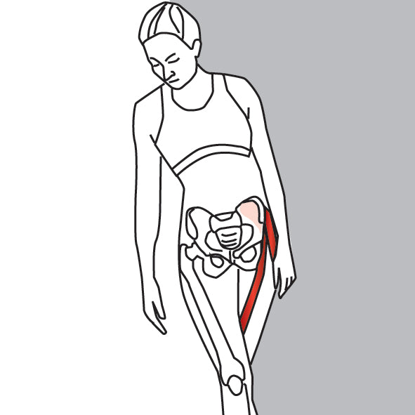 Standing Leg Cross Abductor Stretch - Niel Asher Education