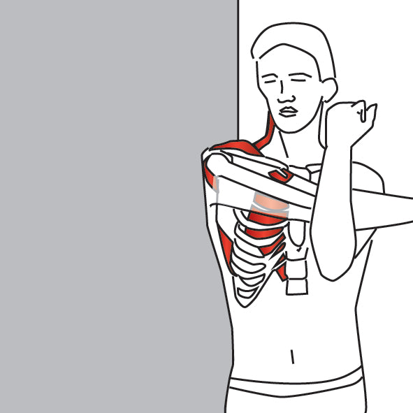 Parallel Arm Shoulder Stretch | Latissimus Dorsi, Rhomboids, Trapezius ...