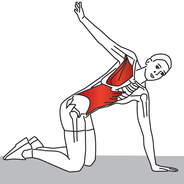 Kneeling Back Rotation Stretch Back Stretch Stretching and