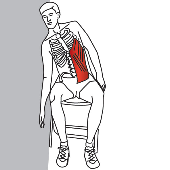 Sitting Lateral Side Stretch | Quadratus Lumborum, Stretch, Stretching ...