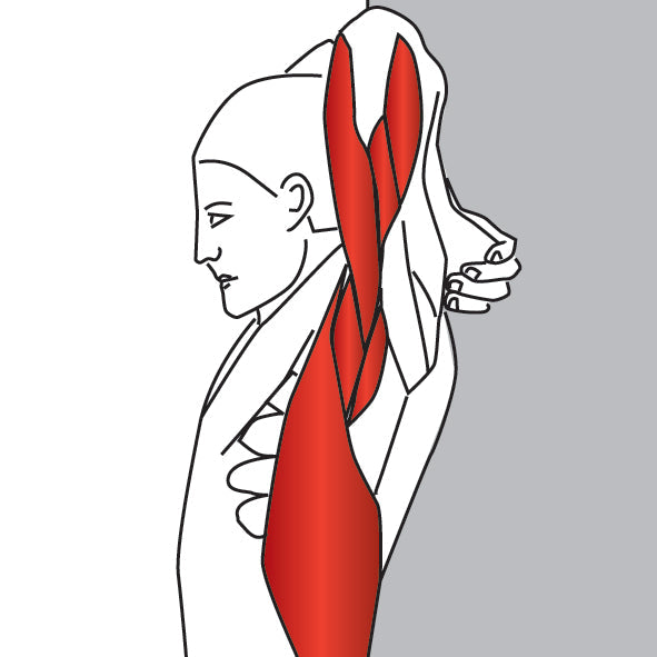 Reaching Down Triceps Stretch - Niel Asher Education