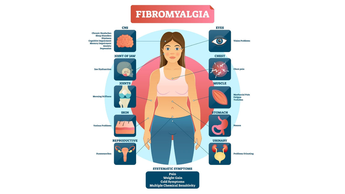 Fibromyalgia and Massage - Niel Asher Education