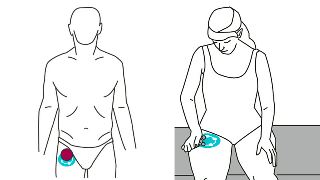 Massage and Stretching for Quads - Niel Asher Education