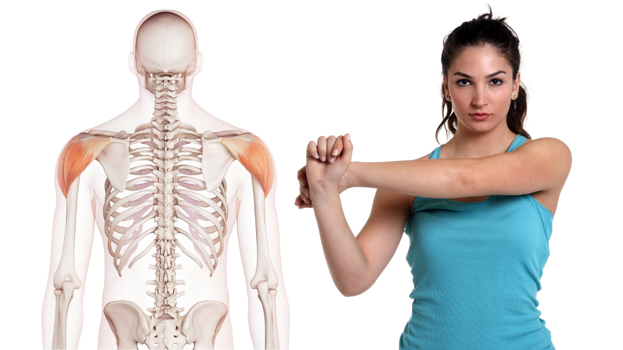 Treating the Deltoid Muscles