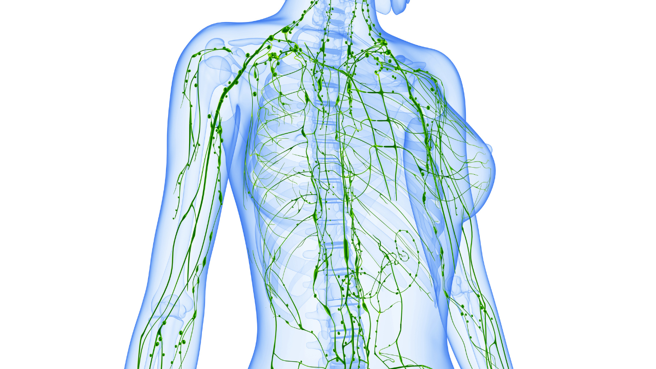 Lymphatic Drainage