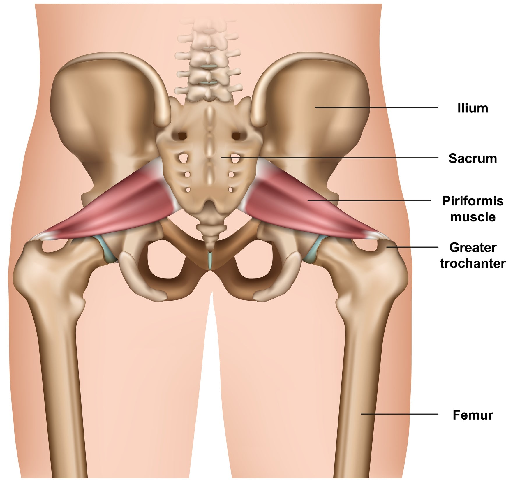 Stretching for Piriformis Syndrome - Niel Asher Education