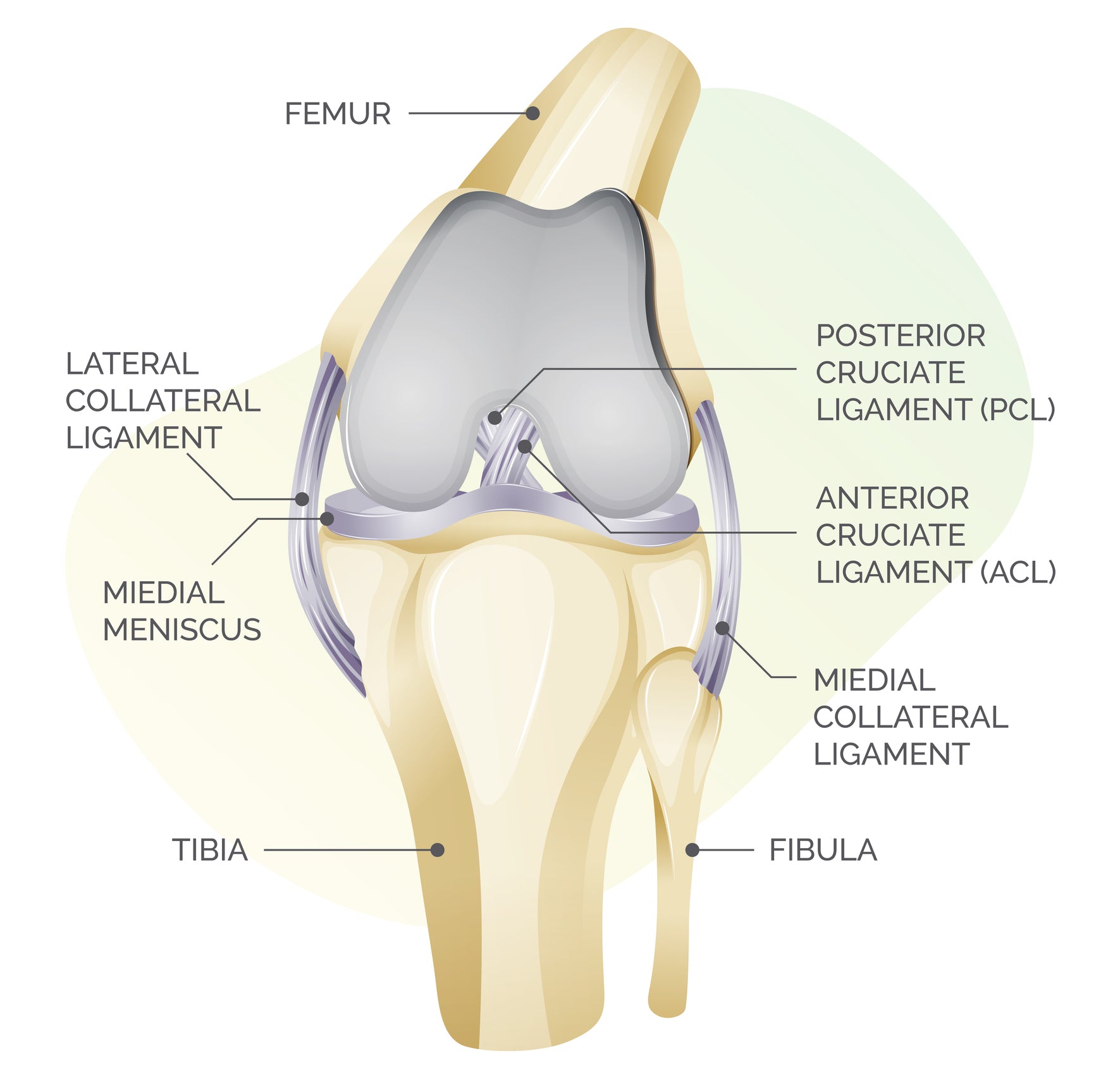 Treating Knee Pain