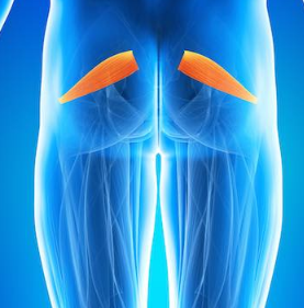 Piriformis Release – Top 8 Techniques To Reduce Painful Trigger Points