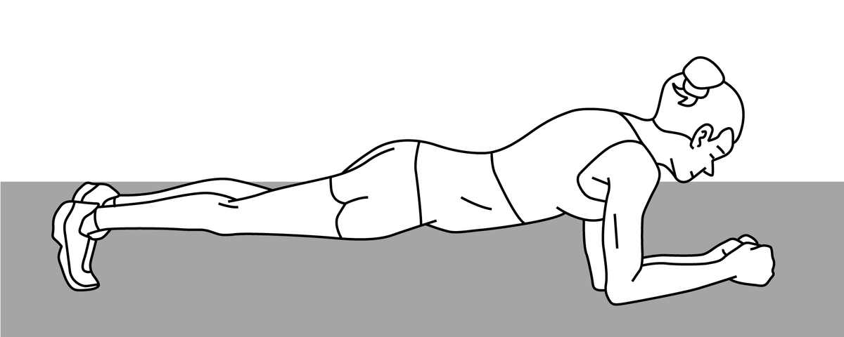 The Plank - Niel Asher Education