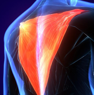 How to Treat a Trigger Point - Trapezius