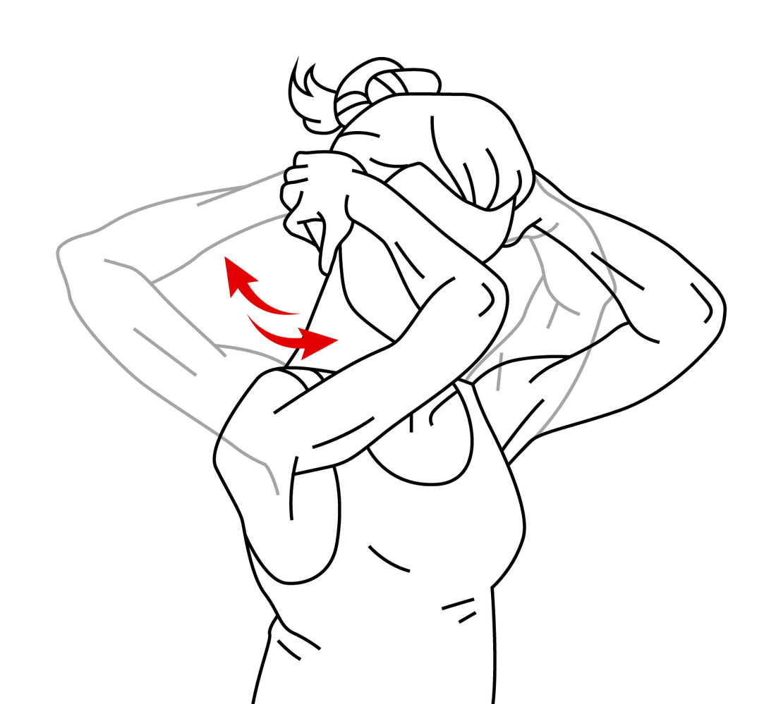 Ulnar Nerve - Butterfly - Niel Asher Education