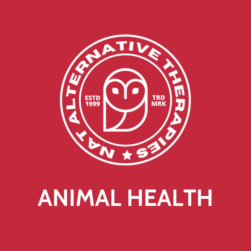 Animal Welfare Courses