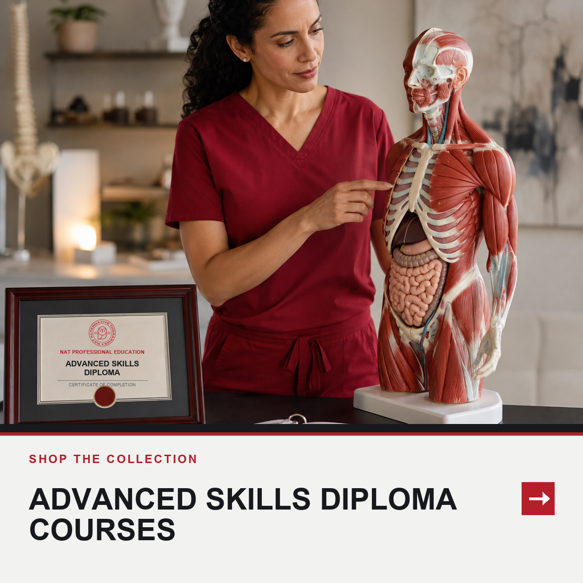 Advanced Skills Online Diploma Courses for Massage and Manual Therapists