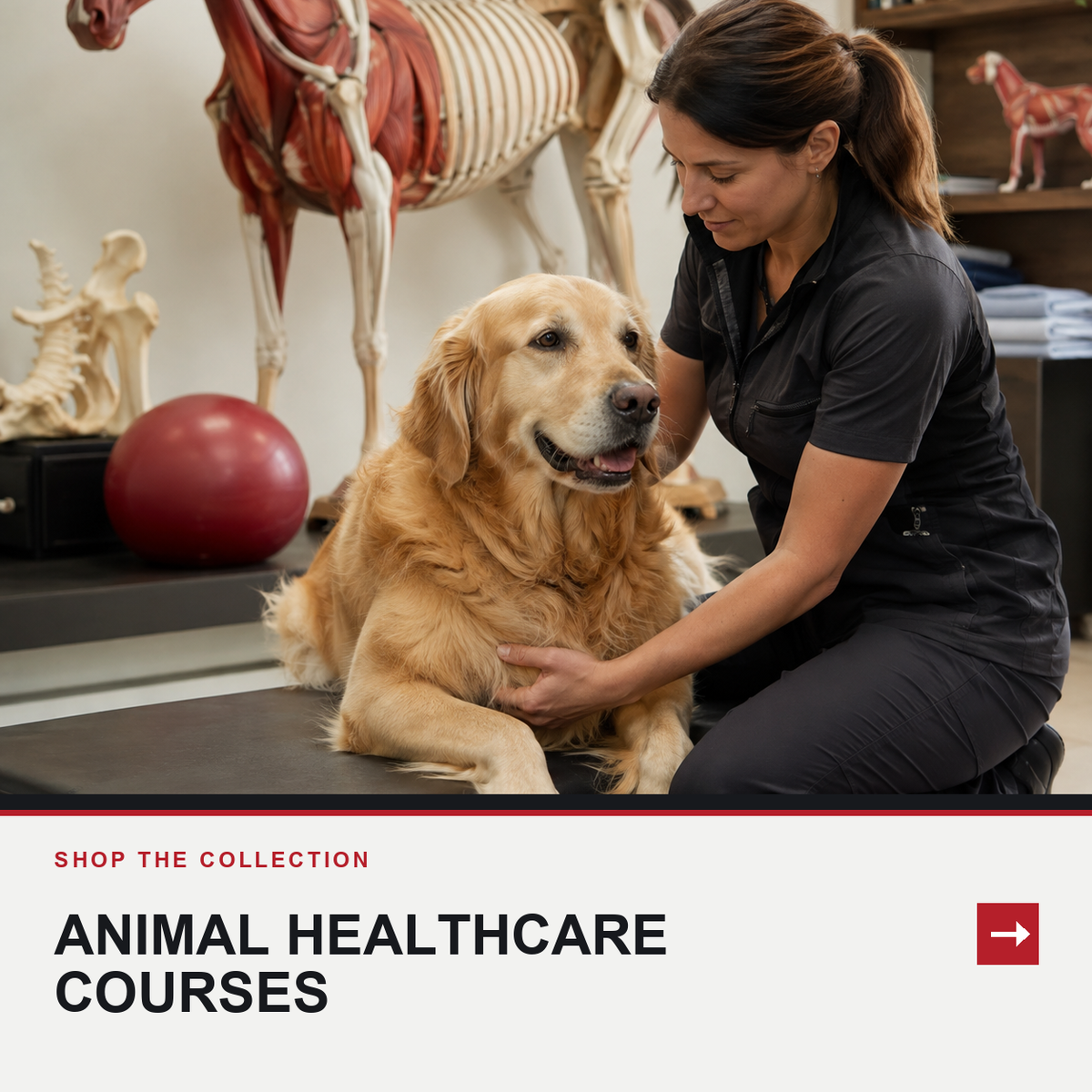 Animal Welfare & healthcare Courses Online 