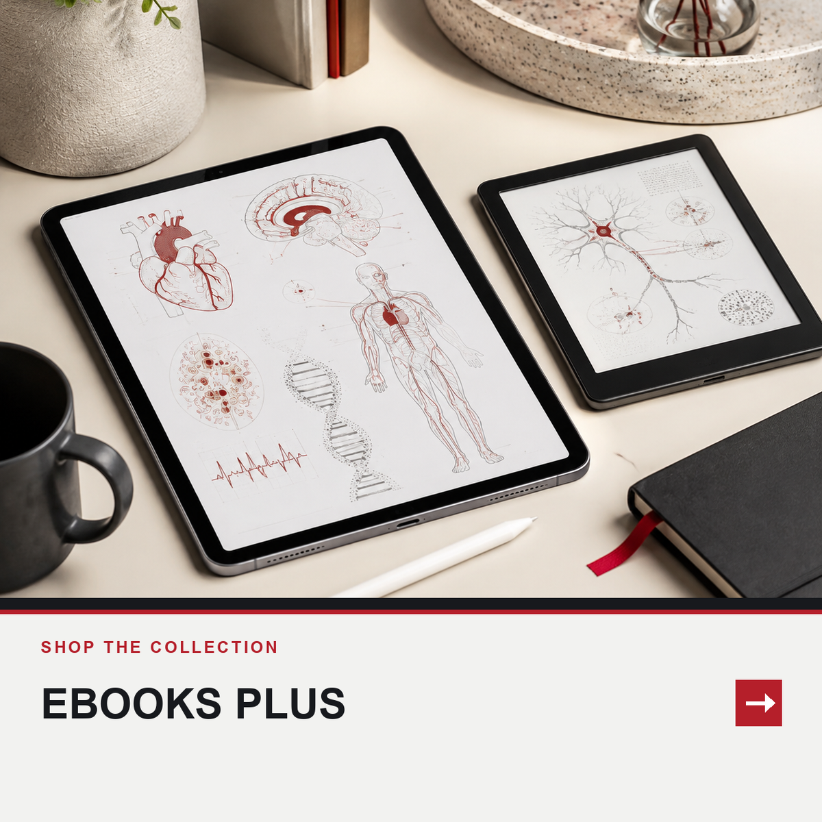 eBooks for Massage and Manual Therapists
