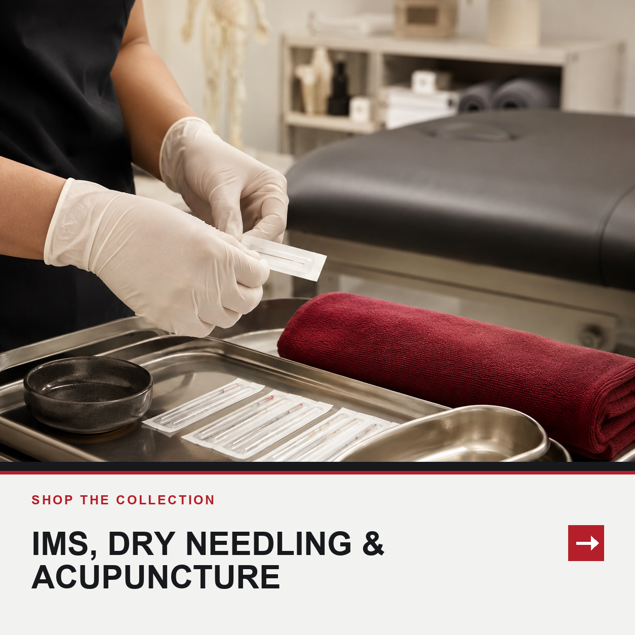 IMS Dry Needling and Acupuncture Online Courses