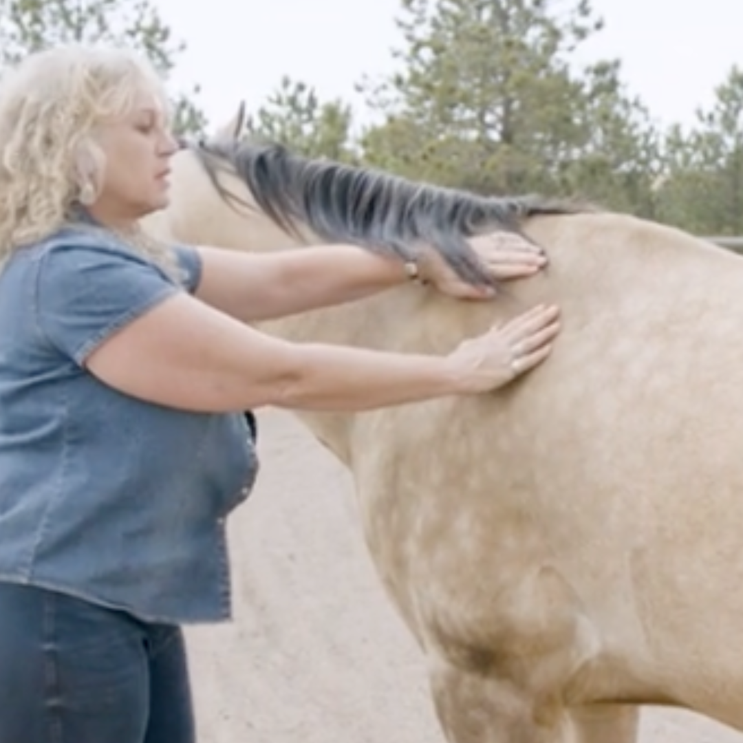 Fundamentals of Equine Acupressure - Level 1