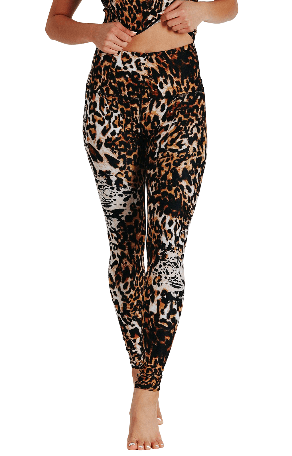 YD Legging - Wildcat