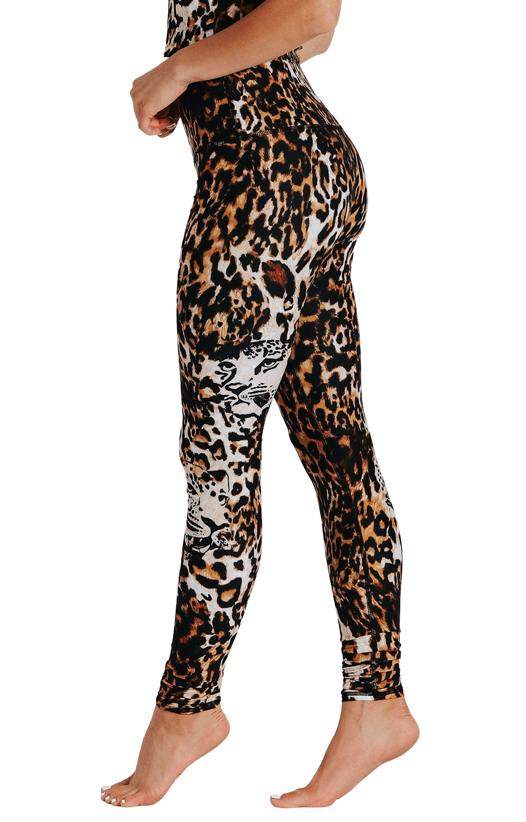 YD Legging - Wildcat