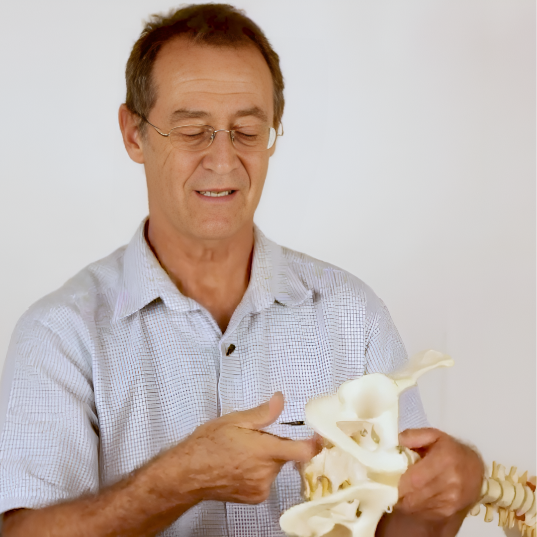 Treating Lower Back Pain (3.5 hrs)