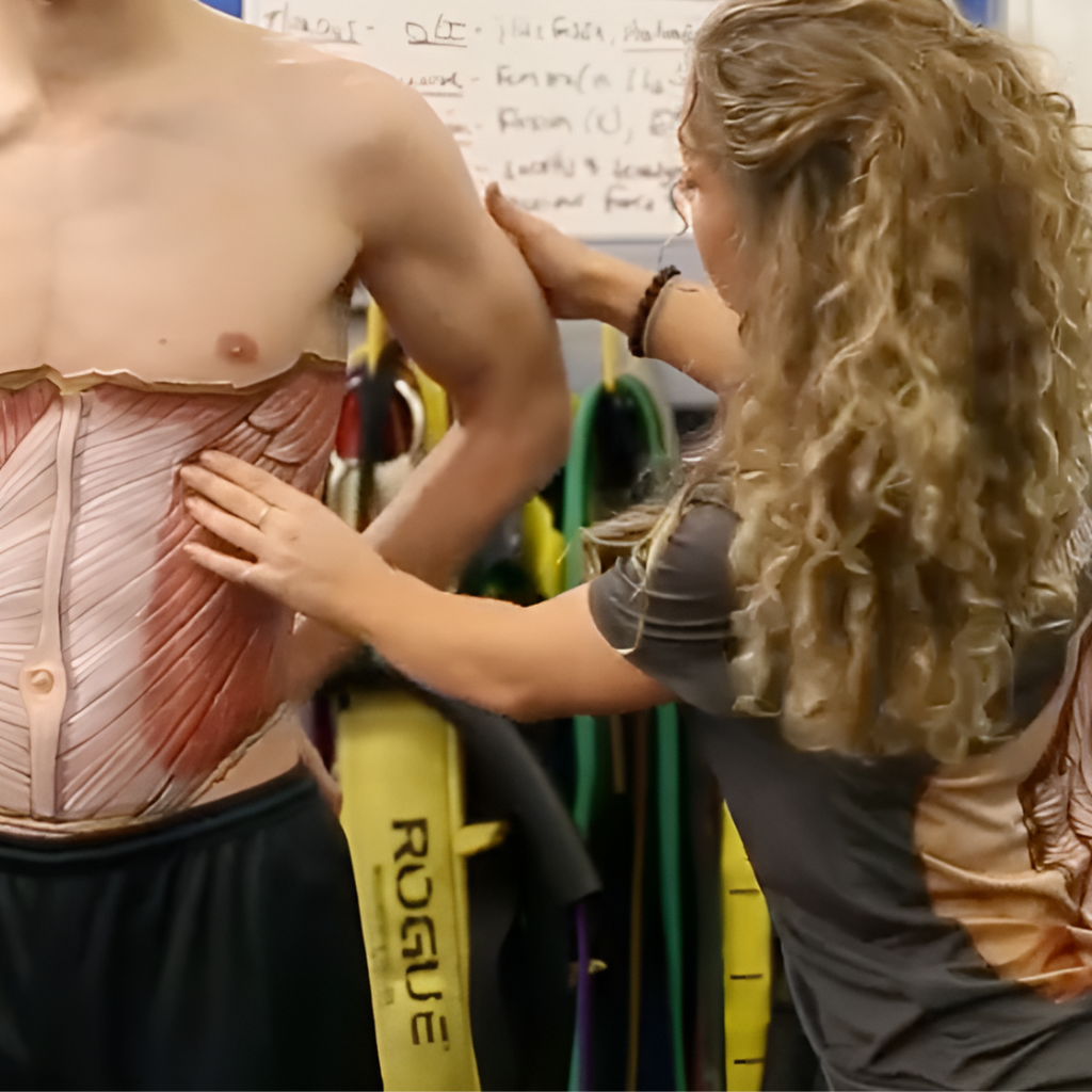 Functional Anatomy Body Painting Course