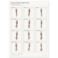Forearm & Hand Trigger Points and Referred Pain Patterns