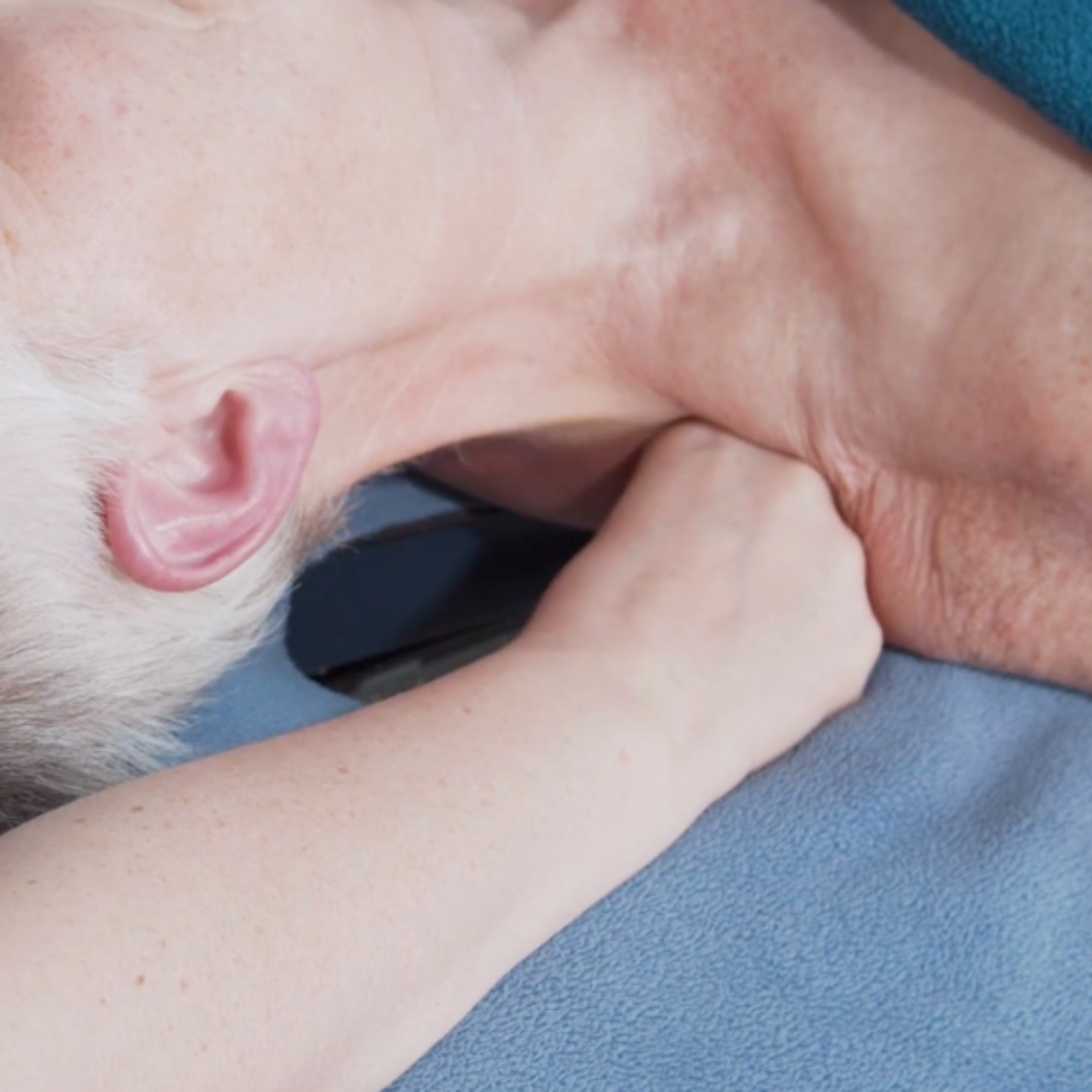 Fusion Healing Medical Massage (16 Hrs)