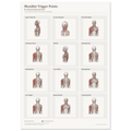 Shoulder Trigger Points & Referred Pain Patterns