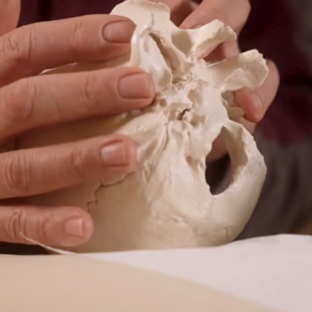 Biodynamic Craniosacral Therapy (7 hrs)