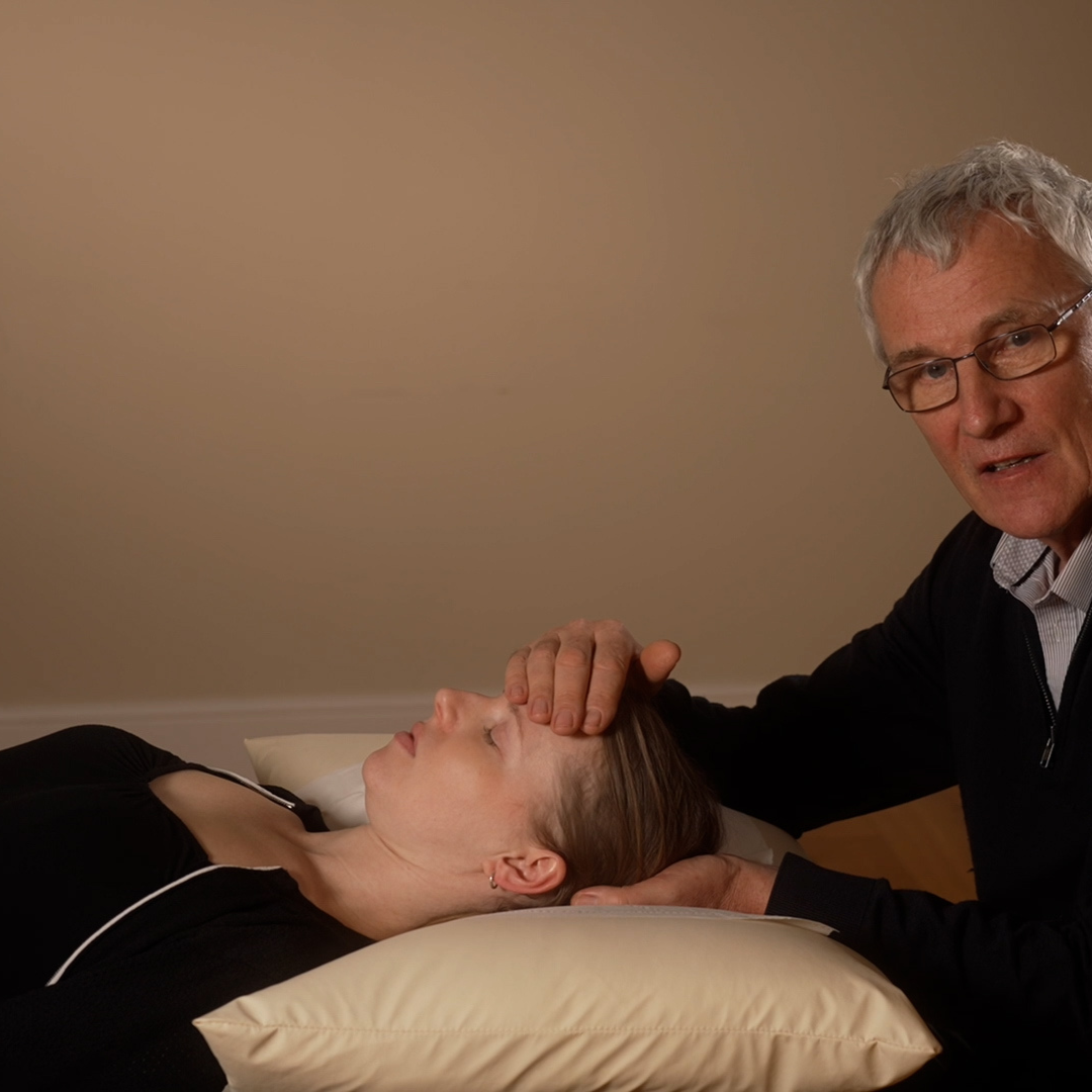 The Vagus Nerve: Assessment, Therapy Techniques, and Clinical Applications (5 hrs)