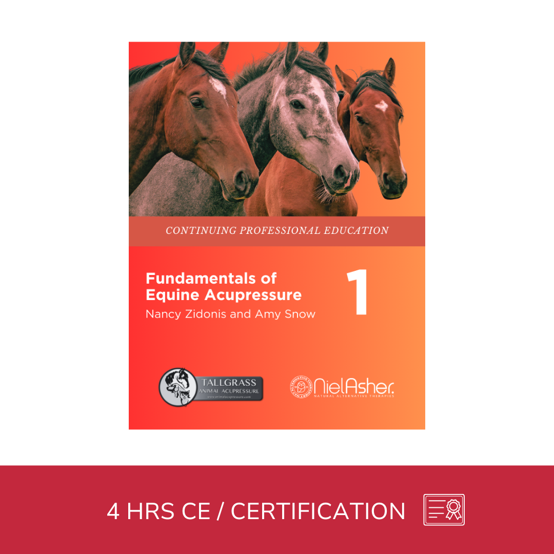 Fundamentals of Equine Acupressure - Level 1