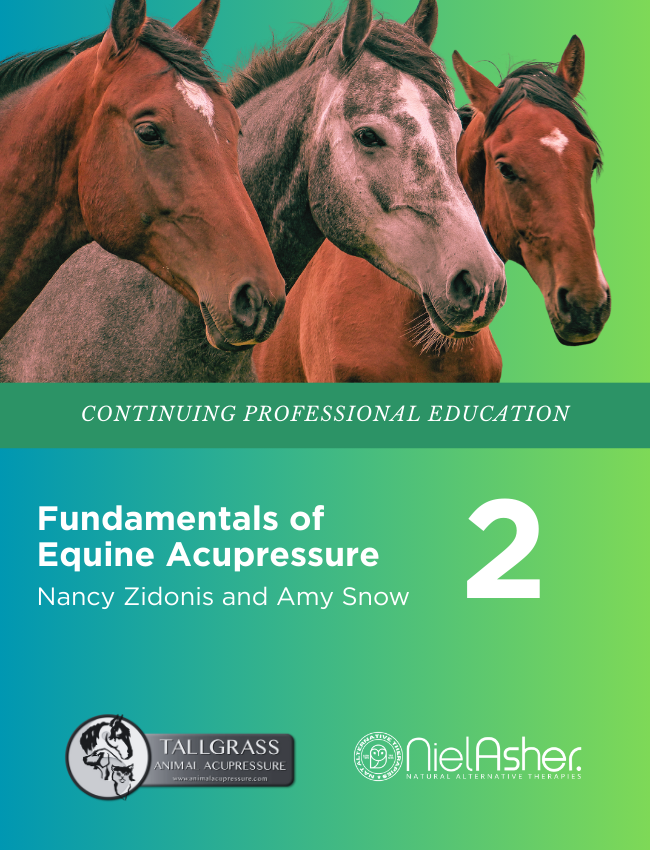 Fundamentals of Equine Acupressure - Level 2