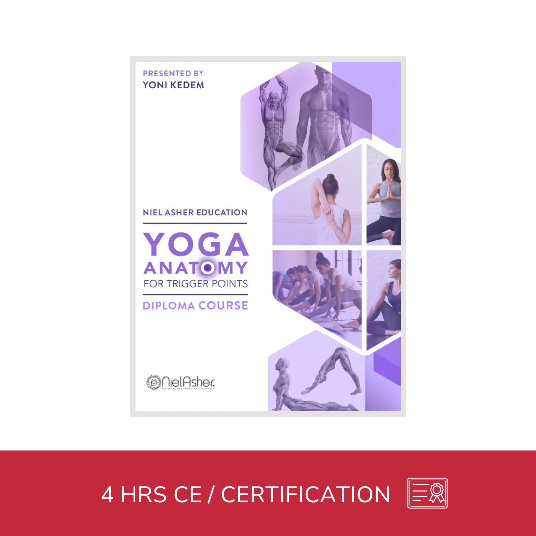 Yoga Anatomy for Trigger Points (4 hrs) | Niel Asher Education